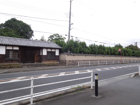 DSCN7733
