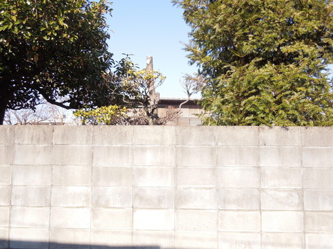 DSCN9011
