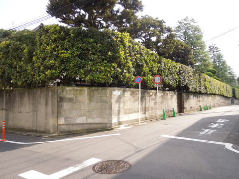 DSCN0134