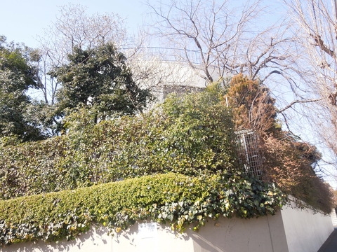 DSCN6885