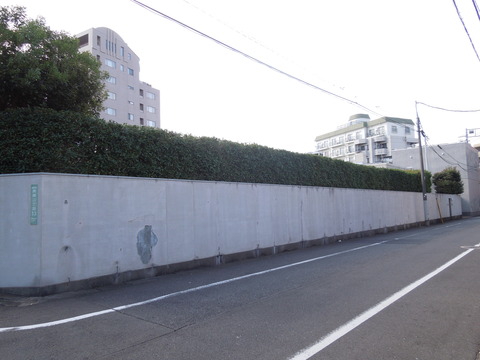 DSCN0891