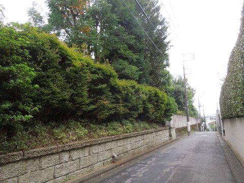 DSCN8072