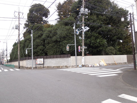 DSCN8322