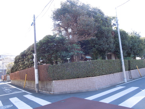 DSCN9102