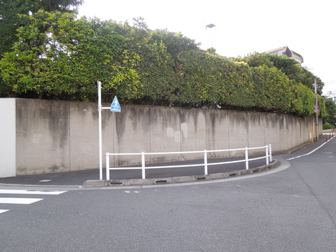 DSCN0132