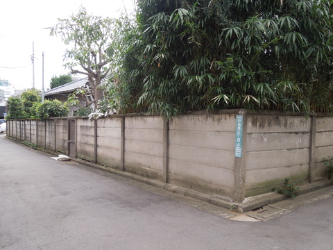 DSCN0780