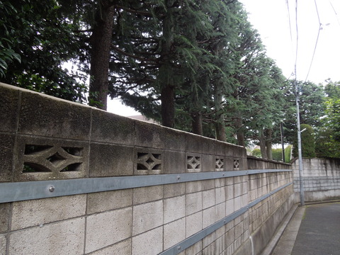 DSCN0212