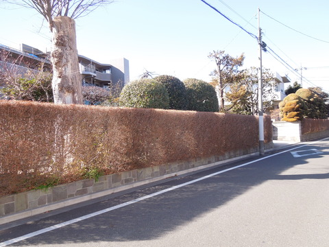 DSCN9099