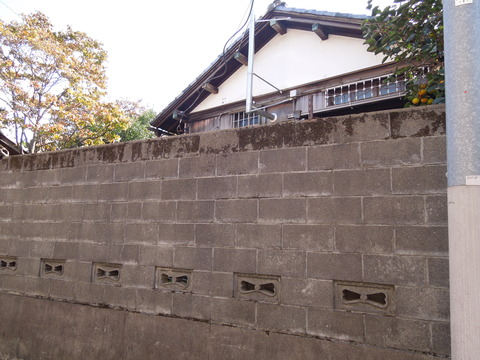 DSCN0866