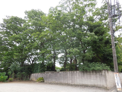 DSCN9956