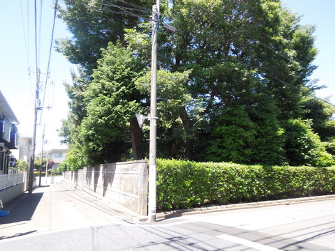 DSCN7038