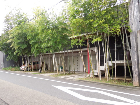 DSCN0345