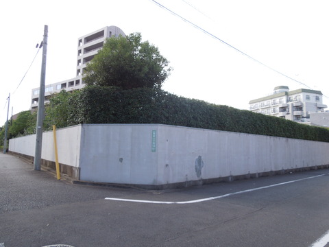 DSCN0890