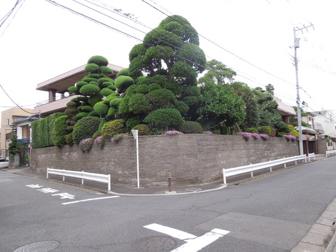 DSCN9694