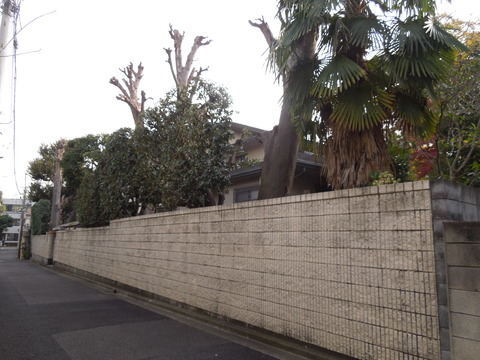 DSCN8851