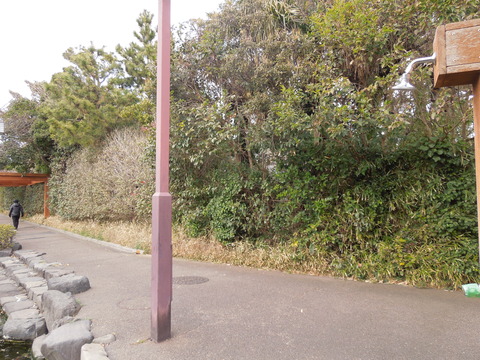 DSCN9245