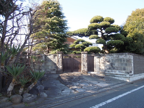 DSCN9013
