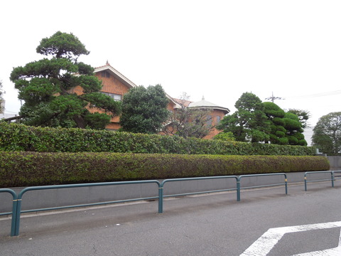 DSCN9960