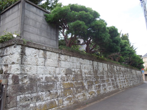 DSCN0802