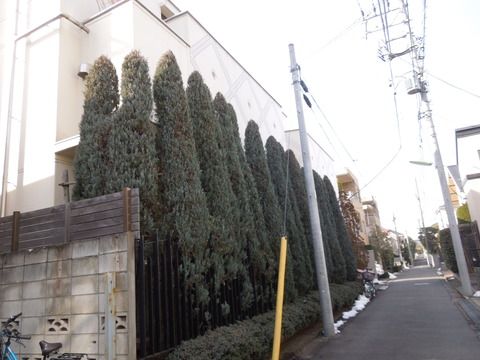 DSCN6637