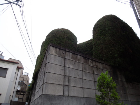 DSCN0215