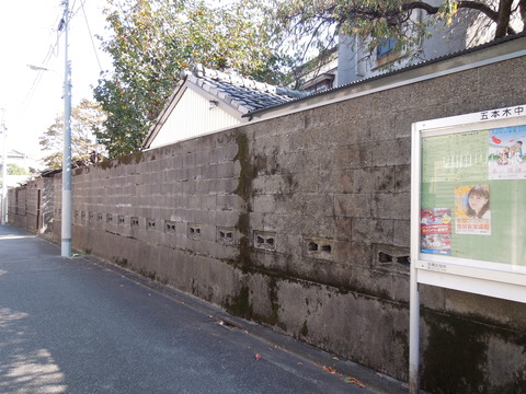 DSCN0867