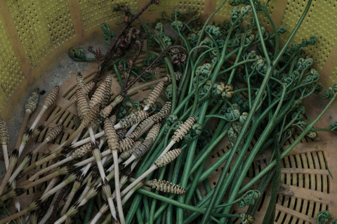 9224506A-6C13-4337-B5DE-14A7EBE118BD