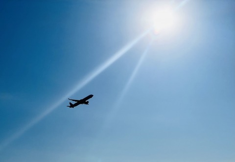 飛行機