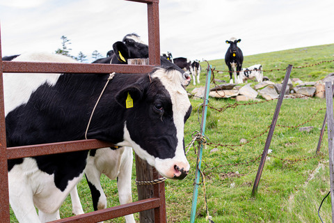 E2FBB5C8-13B8-431D-A144-7ADDA5BB31B4