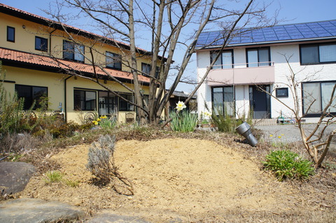 バラの植え付け前