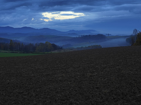 PA290821@