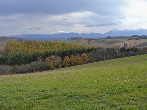PA280677@