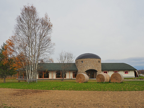 PA291151@