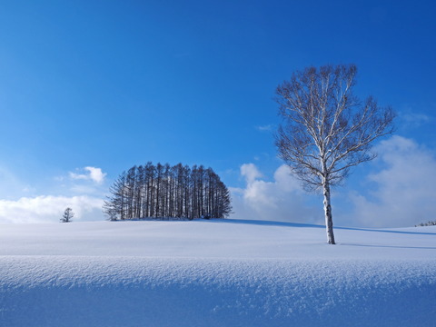 P2080927