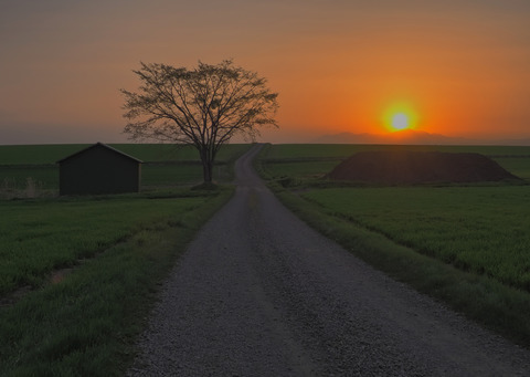 P5050442L@