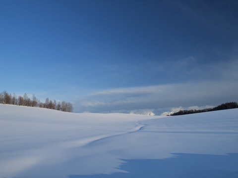 雪の色