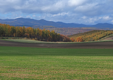PA301882@