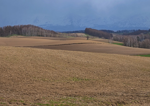 P4130710@