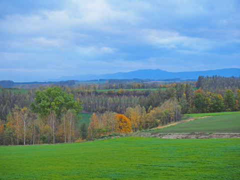 PA120992