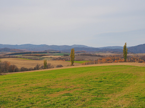PA291048@