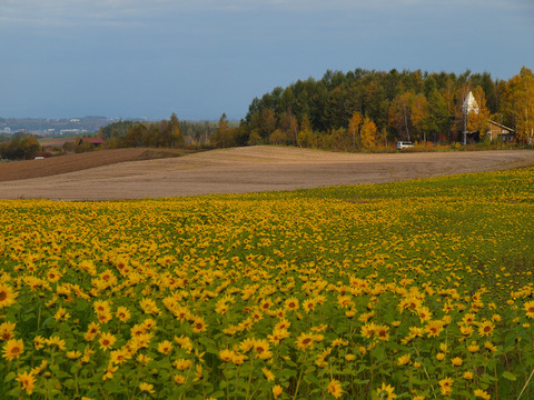 20121022_05