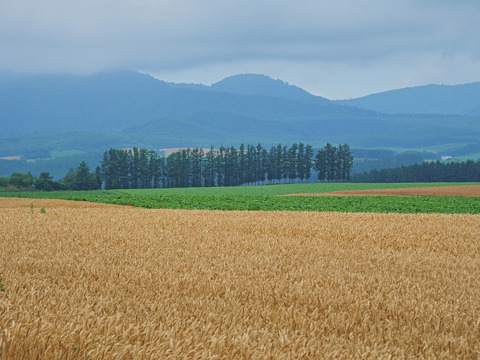 P7241077@