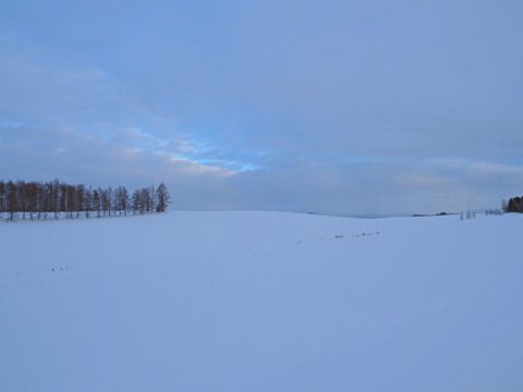 P1250067@