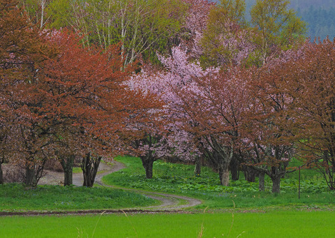 P5060062@
