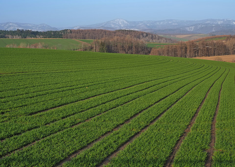 P4140842@