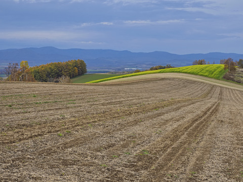 PA280682@