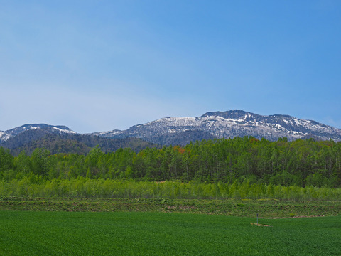 P5080239