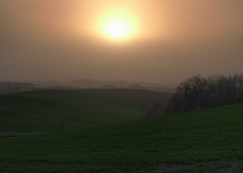 P4120594@