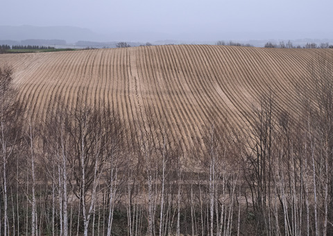 P4130685@