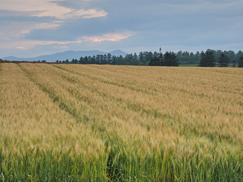 P7220159@